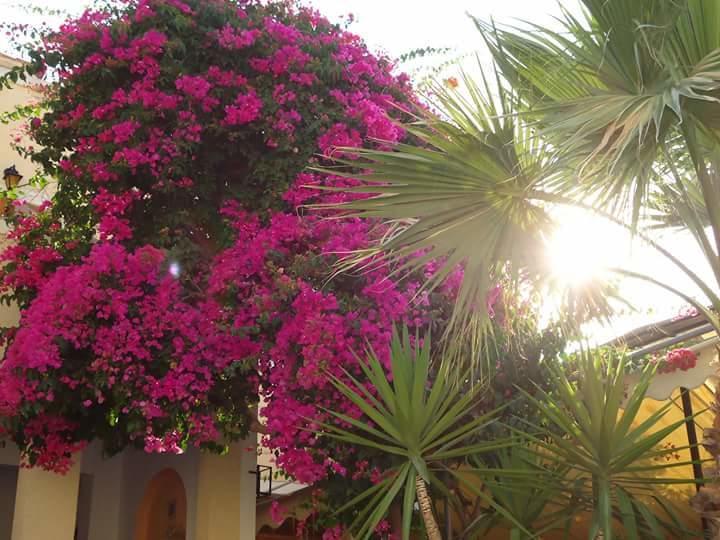 Hotel Sweetmemory Agia Marina  Esterno foto